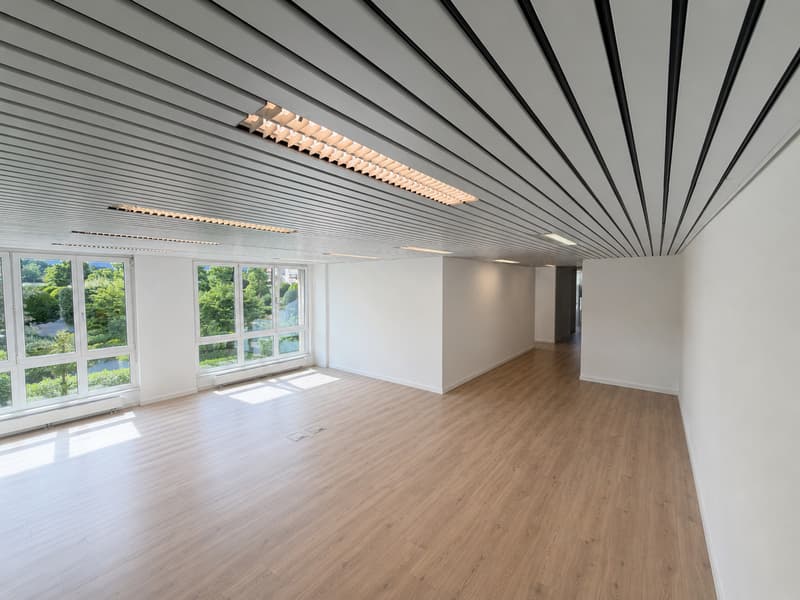 Surface commerciale lumineuse de 83 m² à louer - Nyon (7)