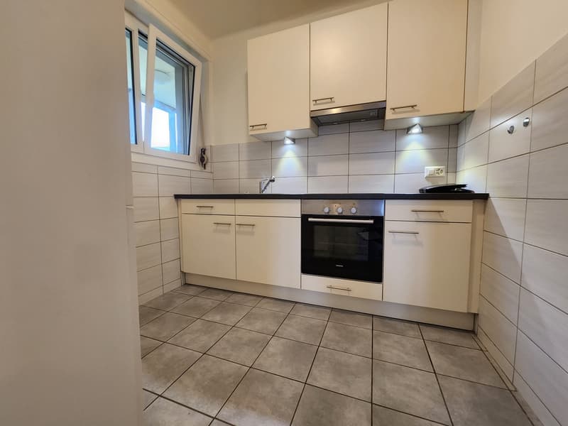 Bello appartamento di 3 locali al piano terra (6)