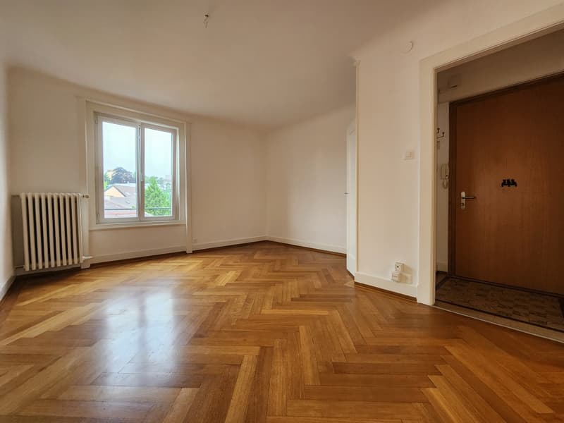 Bello appartamento di 3 locali al piano terra (3)