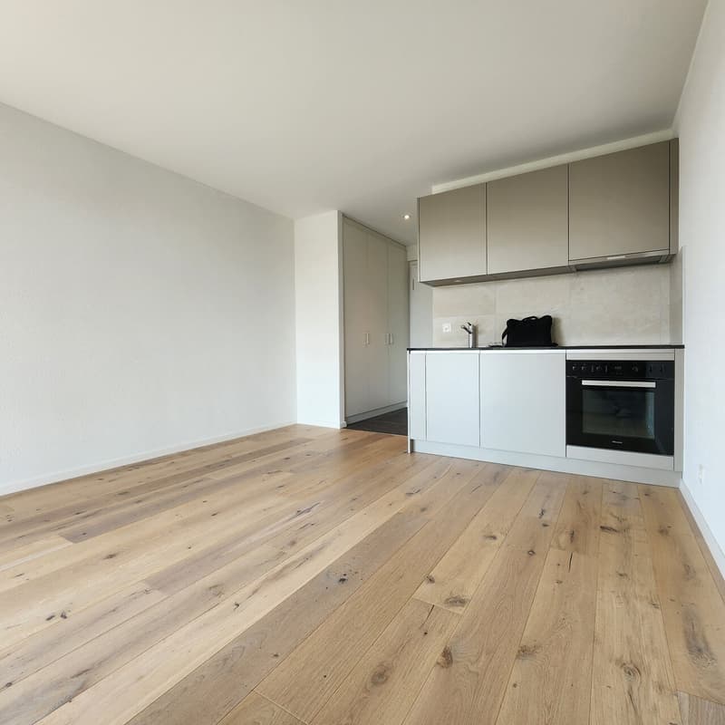 Monolocale nel centro di Gland con balcone (1)