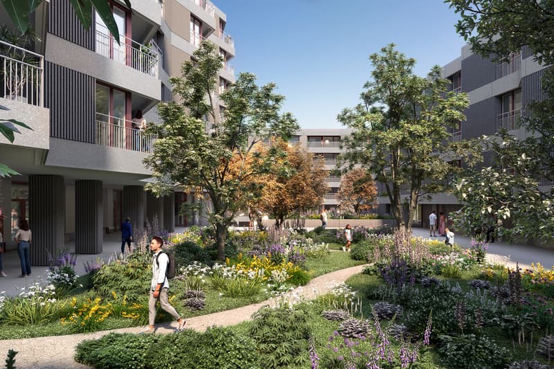 Surfaces d'activités neuves à Nyon - dernières opportunités (8)