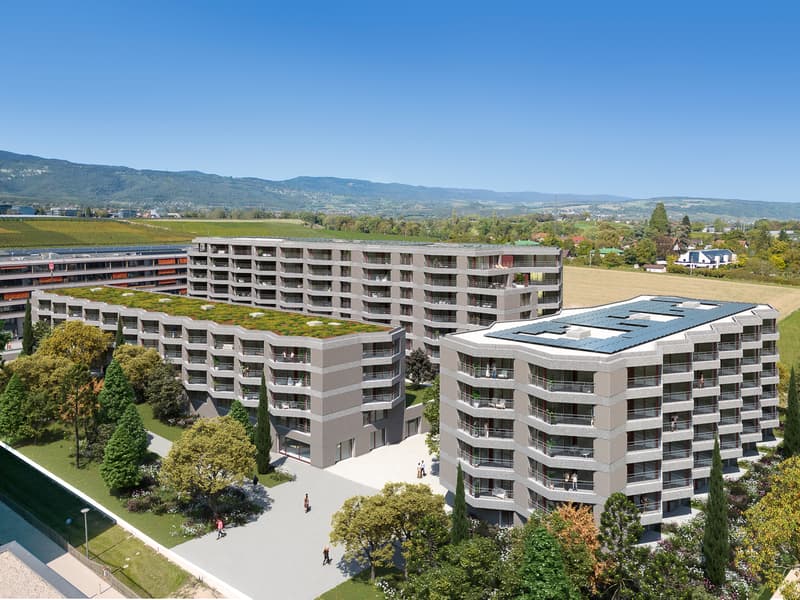 Surfaces d'activités dès 61 m2 - dernières opportunités à Nyon (6)