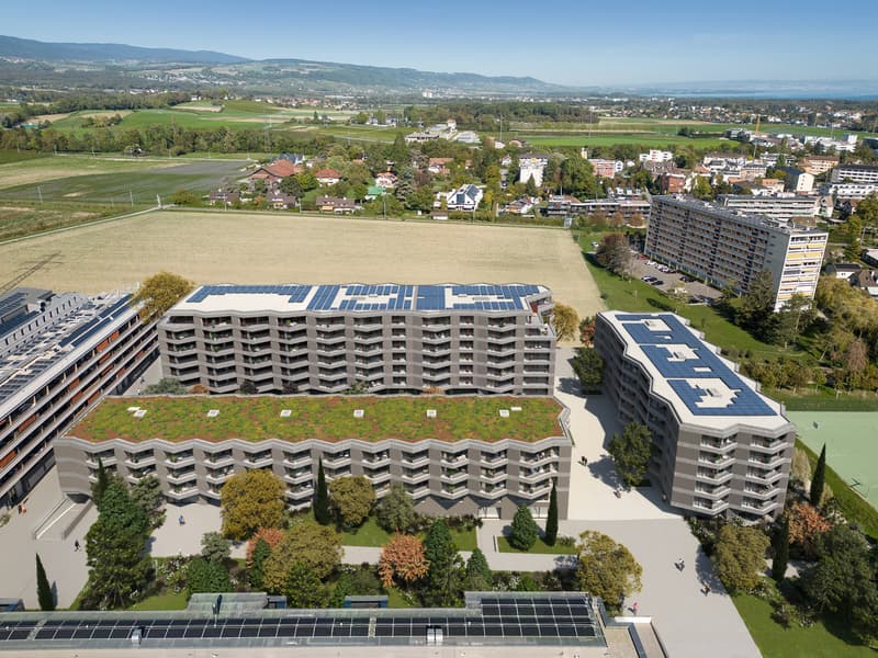 Surfaces d'activités dès 61 m2 - dernières opportunités à Nyon (5)