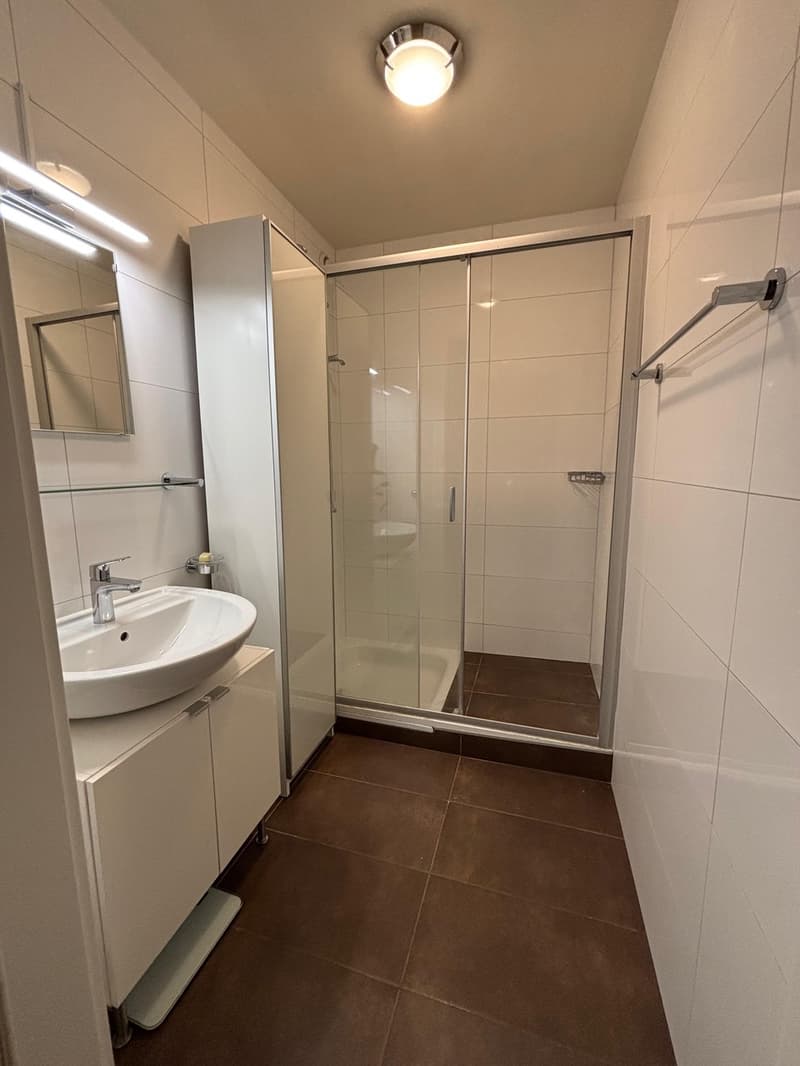 Prächtige 4,5-Zimmer-Wohnung im 2. Stock (7)