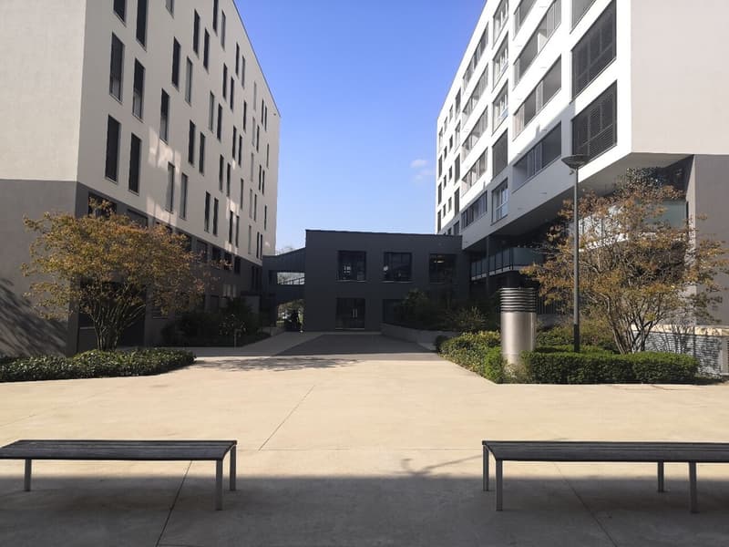Prächtige 4,5-Zimmer-Wohnung im 2. Stock (1)
