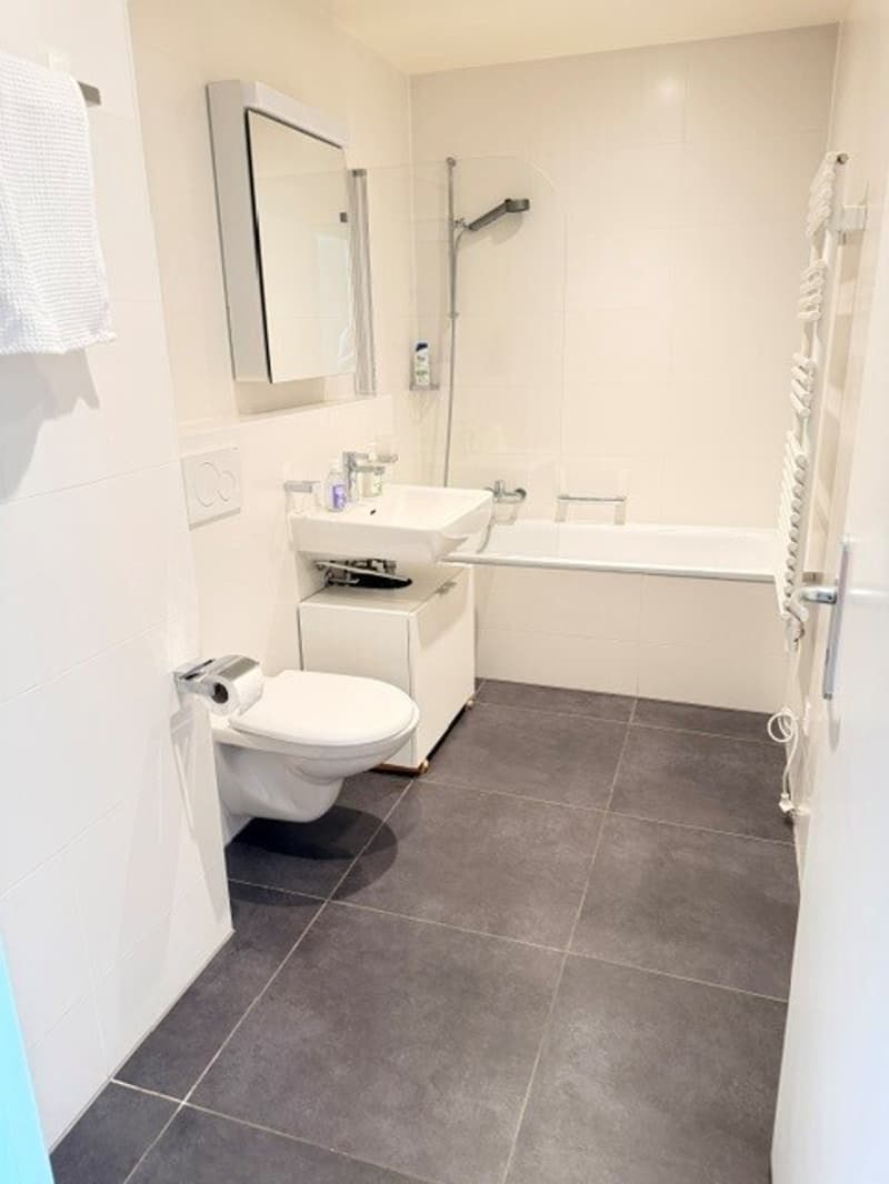 Schönes 4.5-Zimmer-Apartment - Avenue de Montoie 37 in Lausanne (8)