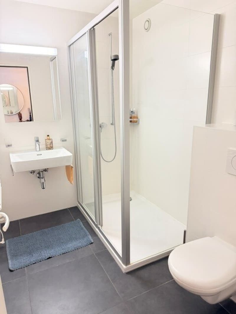 Schönes 4.5-Zimmer-Apartment - Avenue de Montoie 37 in Lausanne (9)