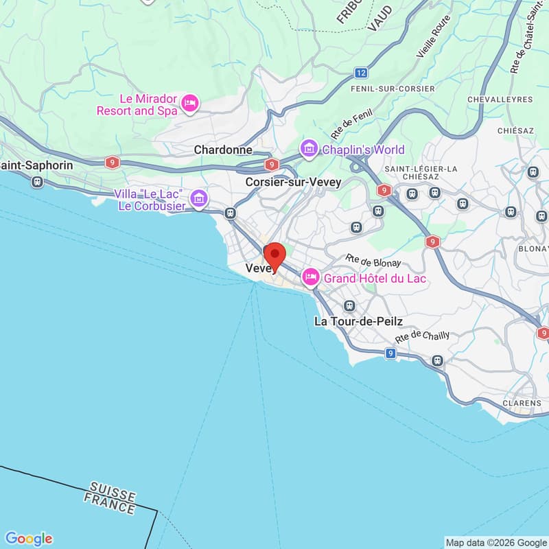 Affascinante monolocale in affitto nel cuore della vecchia città di Vevey (1)