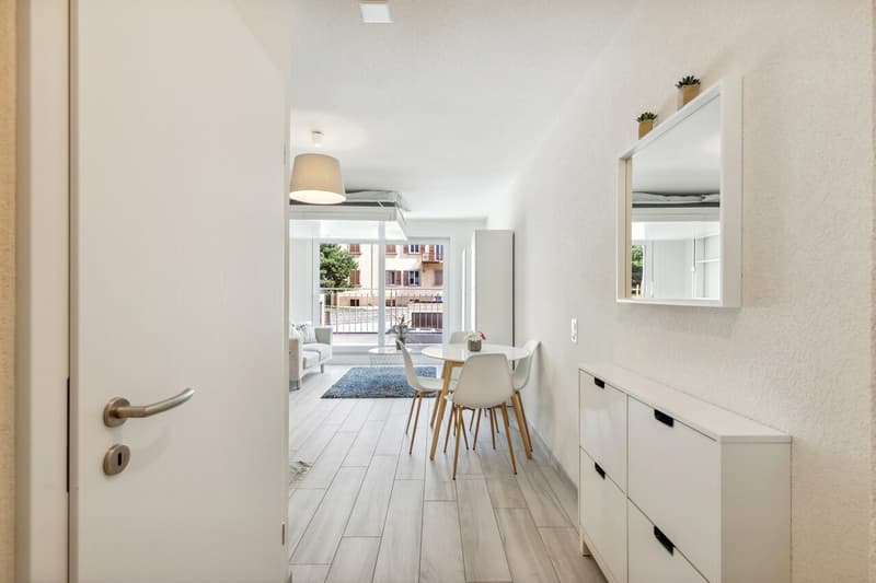 Splendide studio meublé (2)
