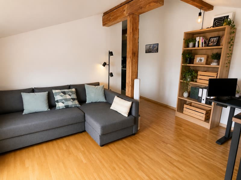 Charmant appartement de 2,5 pièces au coeur de Lausanne (1)