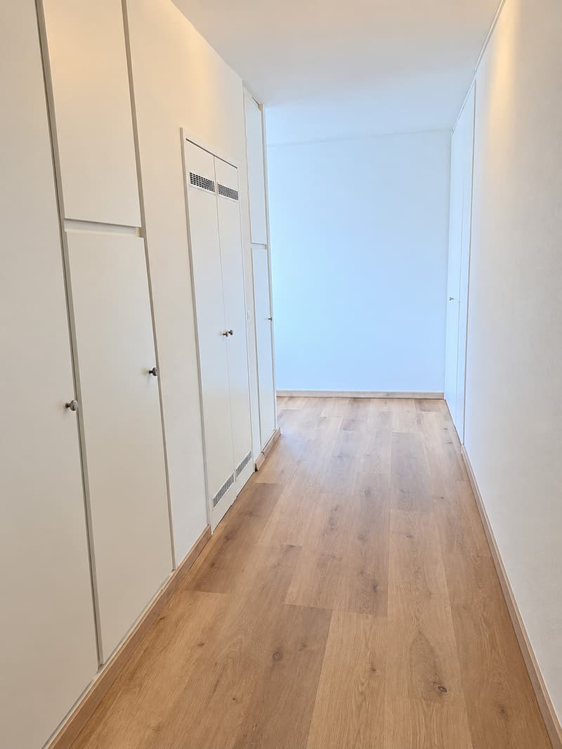 Lausanne - Lumière et confort dans un appartement entièrement rénové (5)