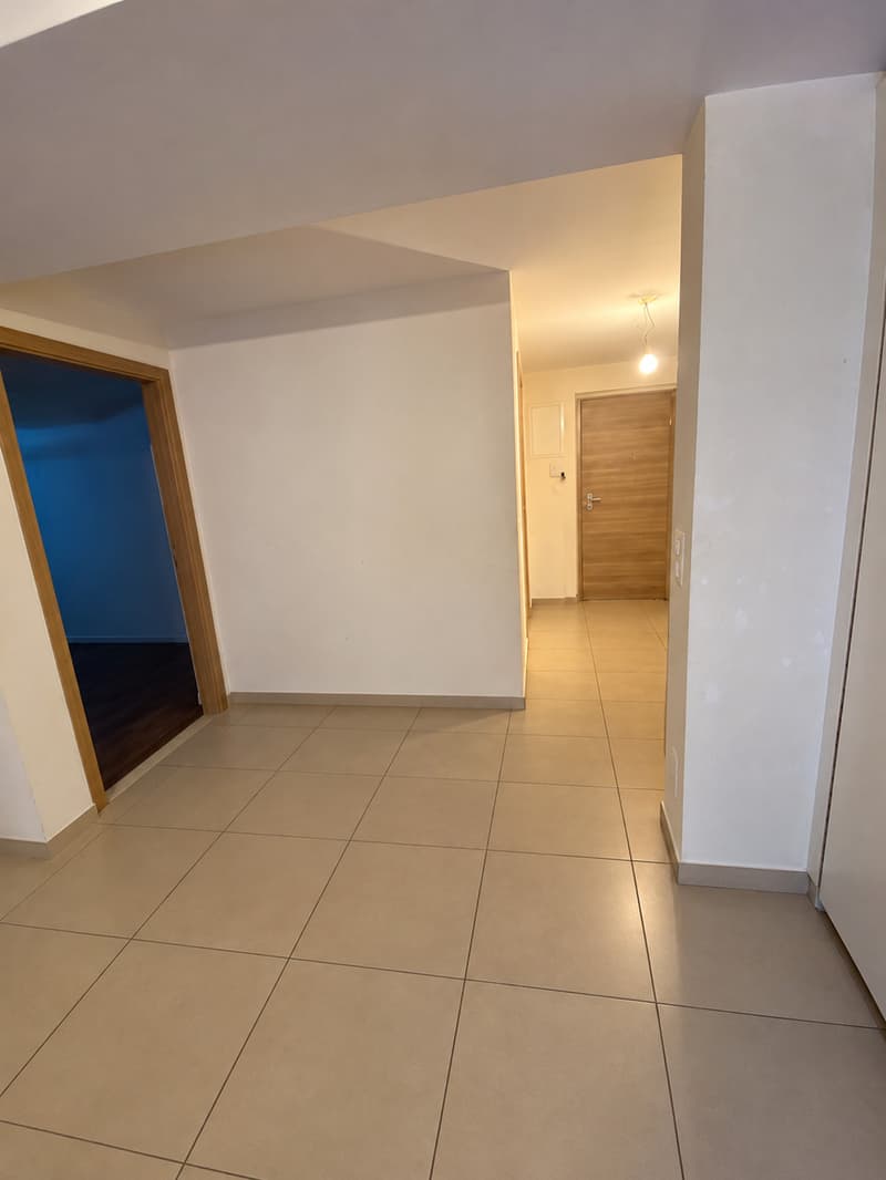 Charmant appartement de 2 pièces avec terrasse à Romont (5)
