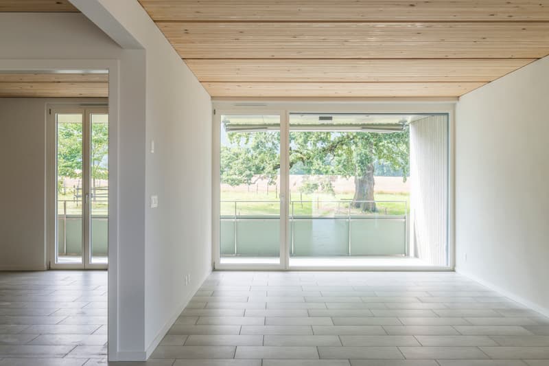 Appartement de 3,5 pièces au 1er étage avec grand balcon (4)