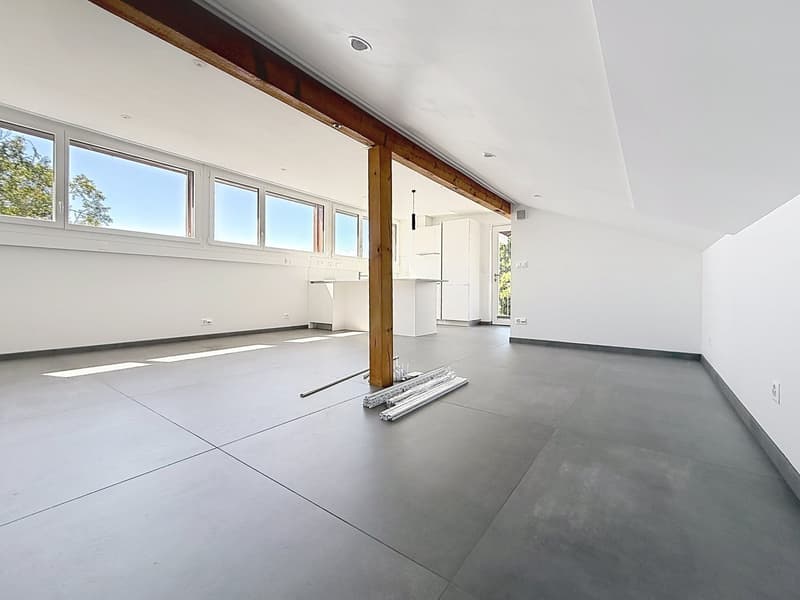 Mini-loft (che ha tutto ciò che ha un grande loft, tranne la pulizia della domenica!) (6)