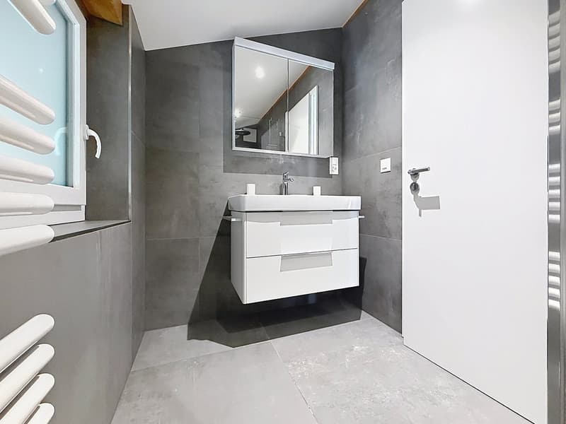 Nuovo 3,5 locali 86 m² Disponibile subito! (4)