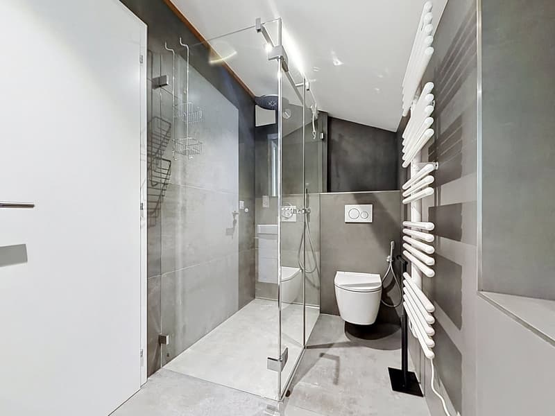 Nuovo 3,5 locali 86 m² Disponibile subito! (11)