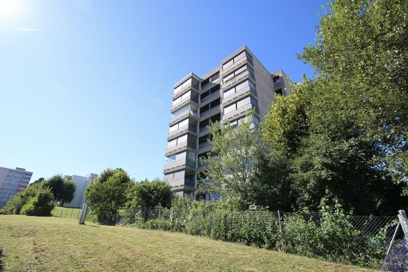 Bell'appartamento luminoso con loggia e panorama eccezionale (13)