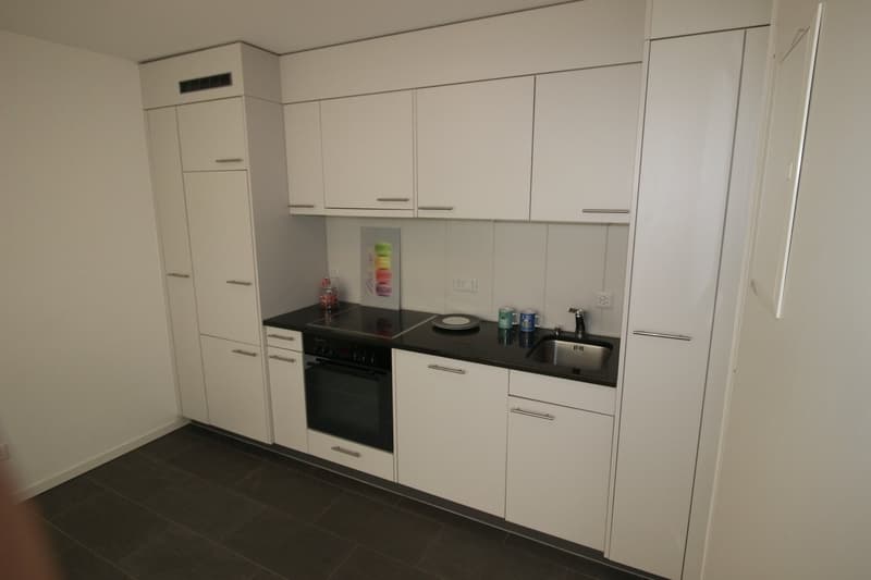 Incroyable loft de 97 m² avec patio au c?ur de Fribourg (9)
