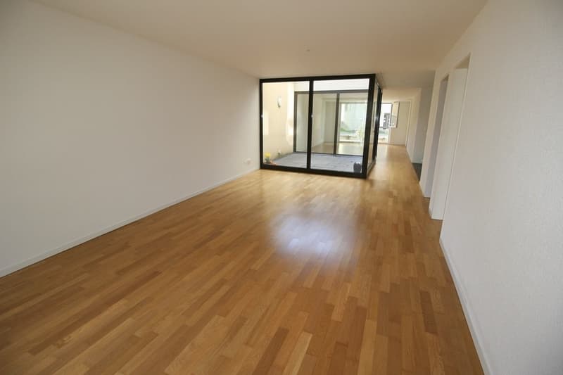 Incroyable loft de 97 m² avec patio au c?ur de Fribourg (4)