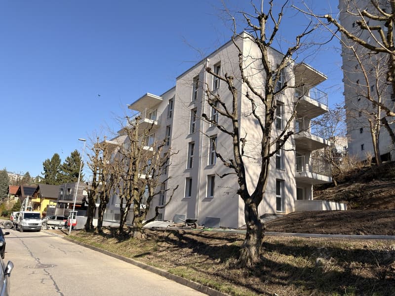 Appartements de 3.5 pièces (12)