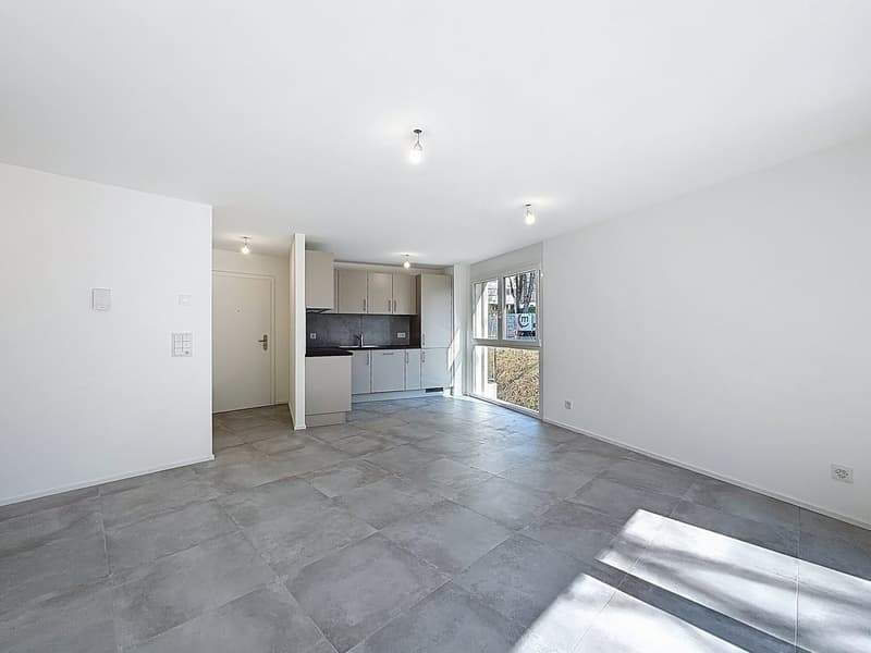 Appartements de 3.5 pièces (2)