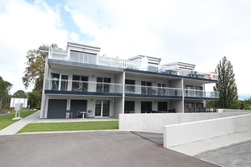 Logement de 4.5 pièces (10)