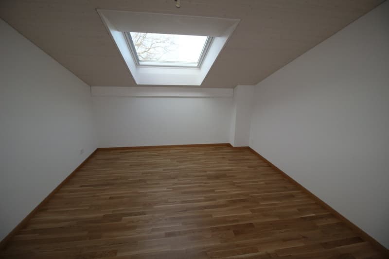 Logement de 4.5 pièces (6)