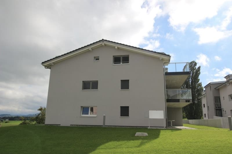 Logement de 4.5 pièces (9)