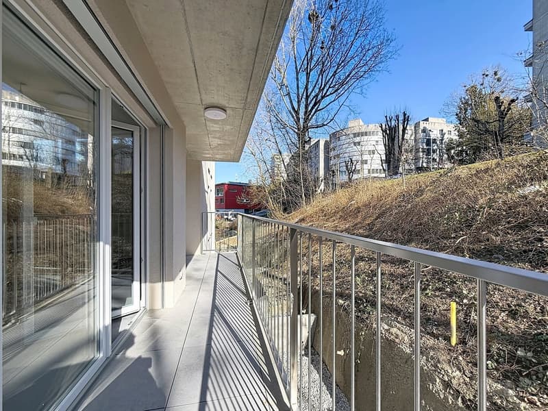 Appartements neufs de 2.5 pièces ! (2)