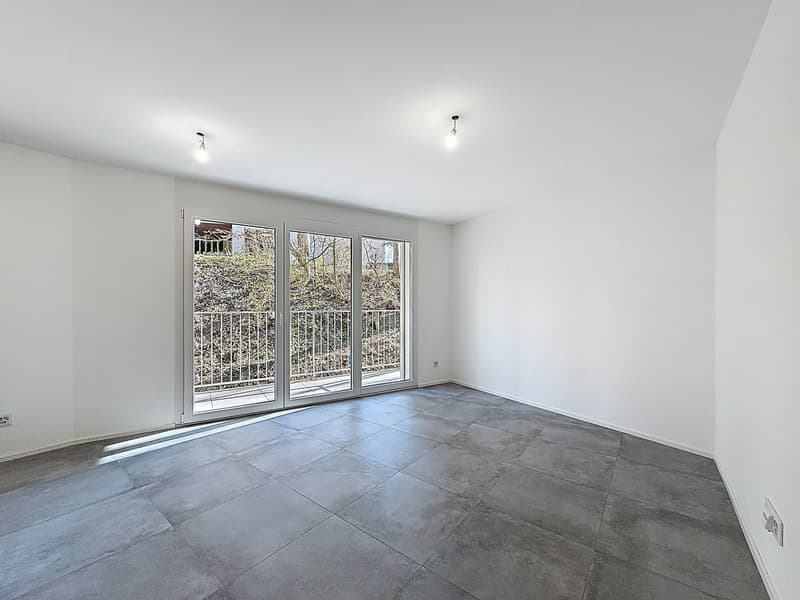 Appartements neufs de 2.5 pièces ! (3)