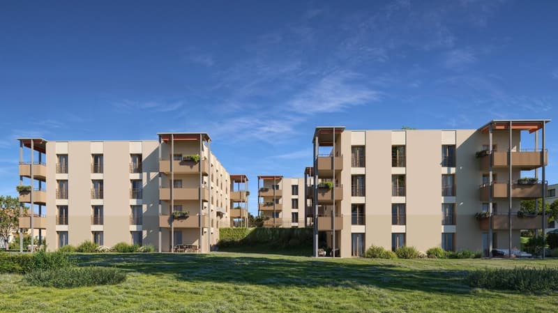 Appartements neufs de 3.5 pièces à Cottens ! (11)