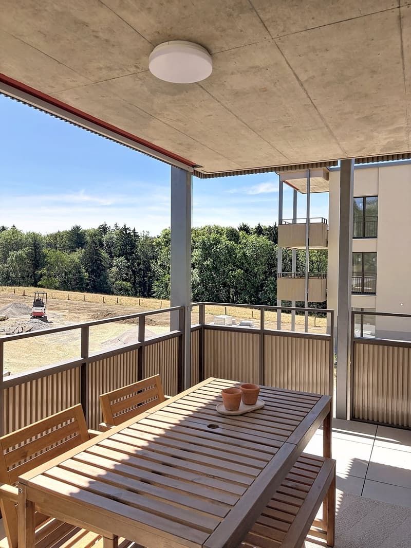 Appartement neuf de 4.5 pièces au 1er étage à Cottens (FR) (12)