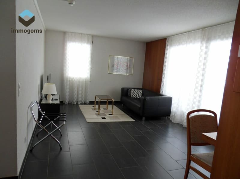 2 ½ rooms - Apartment 1st floor 'Residenz Castle' (2)