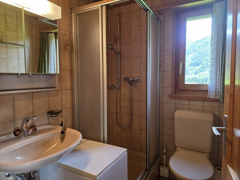 4.5 rooms - attic maisonette apartment 'Enzian' (9)