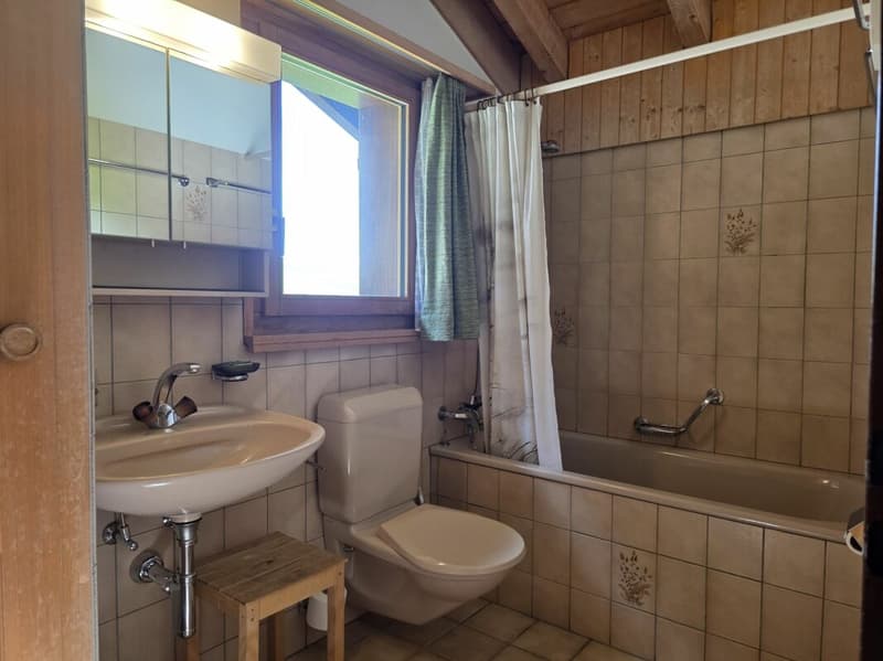 4.5 rooms - attic maisonette apartment 'Enzian' (8)