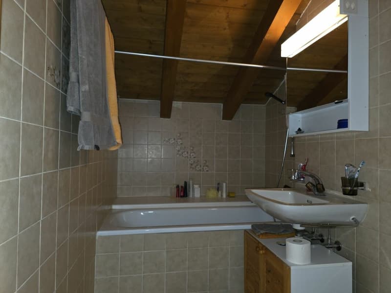 3 ½ rooms - attic apartment house 'Nufenen' (7)