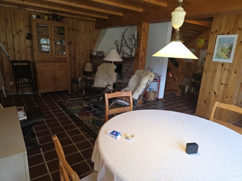 3.5 Zimmer - Ferienhaus (3)