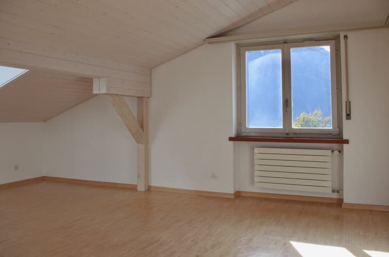 Haus mit 3 Wohnungen und Doppelgarage (11)
