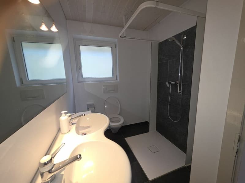Haus mit 3 Wohnungen und Doppelgarage (9)