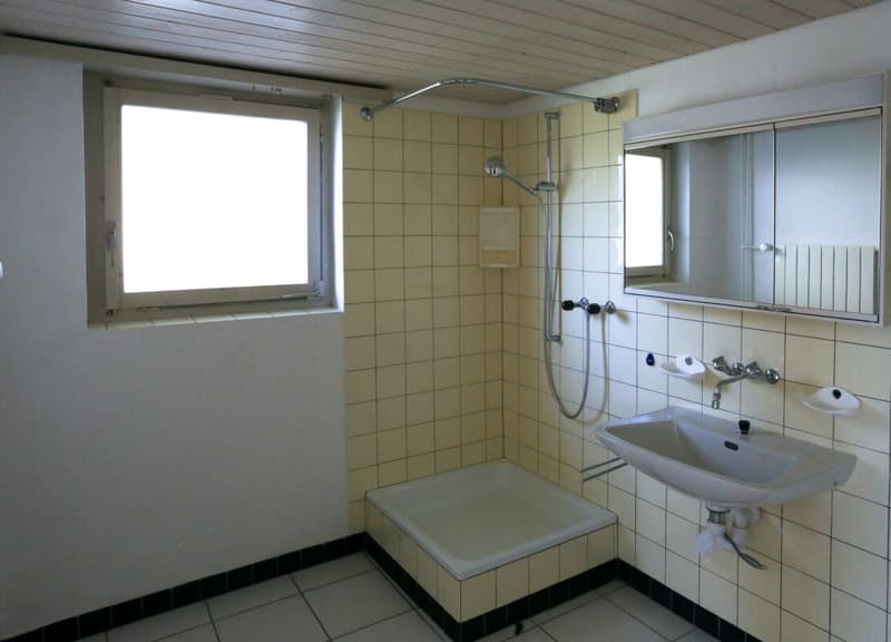 Haus mit 3 Wohnungen und Doppelgarage (5)