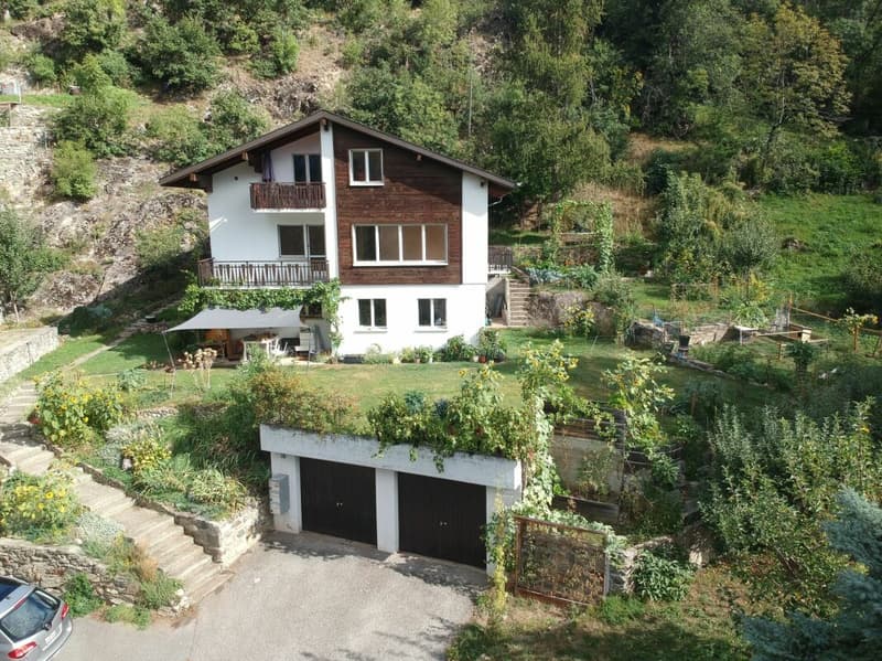 Haus mit 3 Wohnungen und Doppelgarage (1)