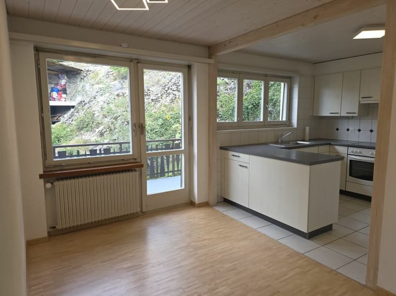 Haus mit 3 Wohnungen und Doppelgarage (7)