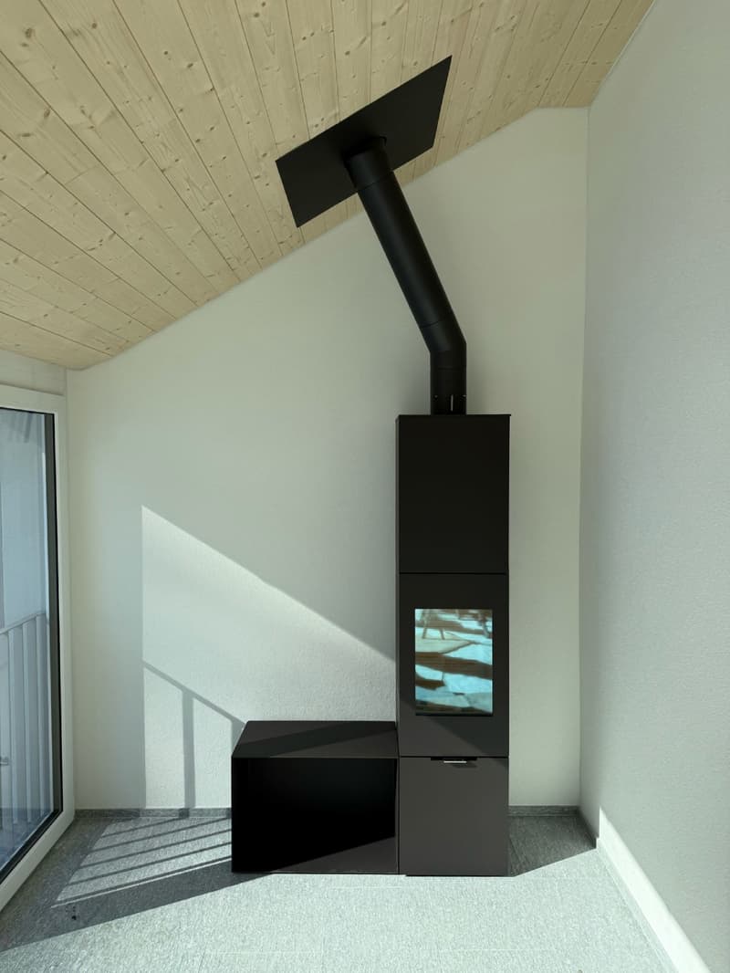 modern room, black fireplace with TV, white walls, wooden ceiling, glass door