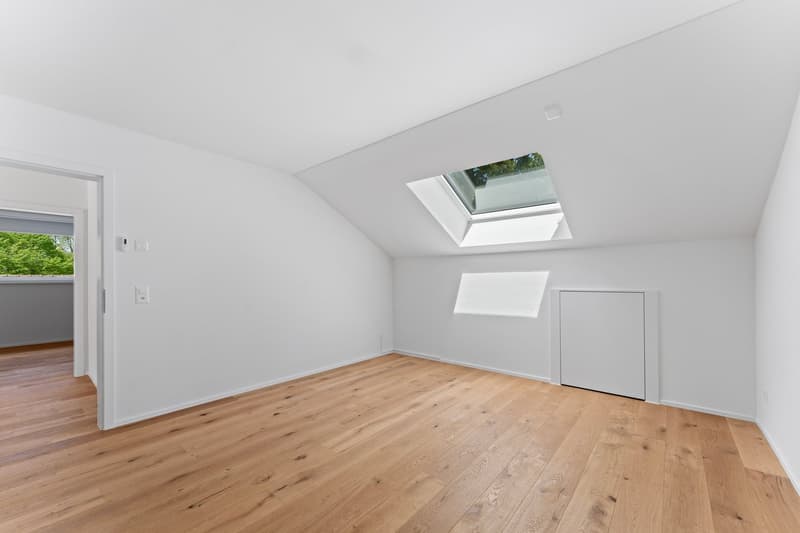 Dreamy 4.5-room new attic apartment in Tramelan (3)
