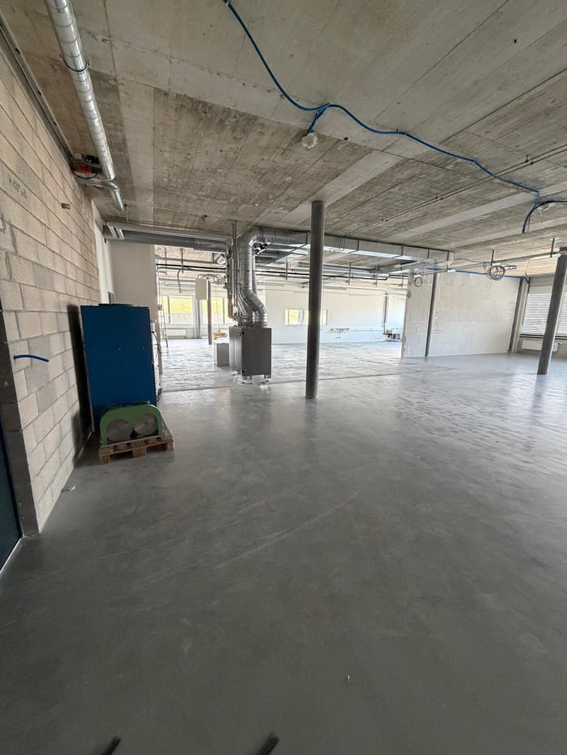 Modern Industrial Spaces for Rent – Boulevard des Eplatures 64, La Chaux-de-Fonds (8)