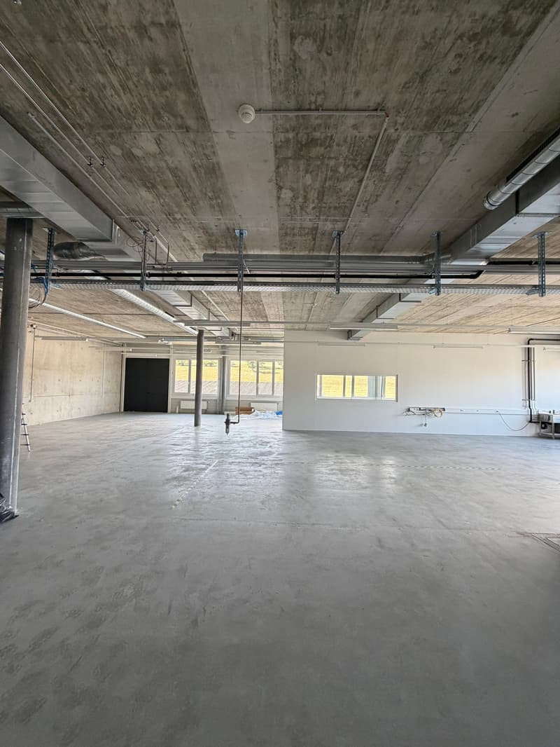 Modern Industrial Spaces for Rent – Boulevard des Eplatures 64, La Chaux-de-Fonds (11)