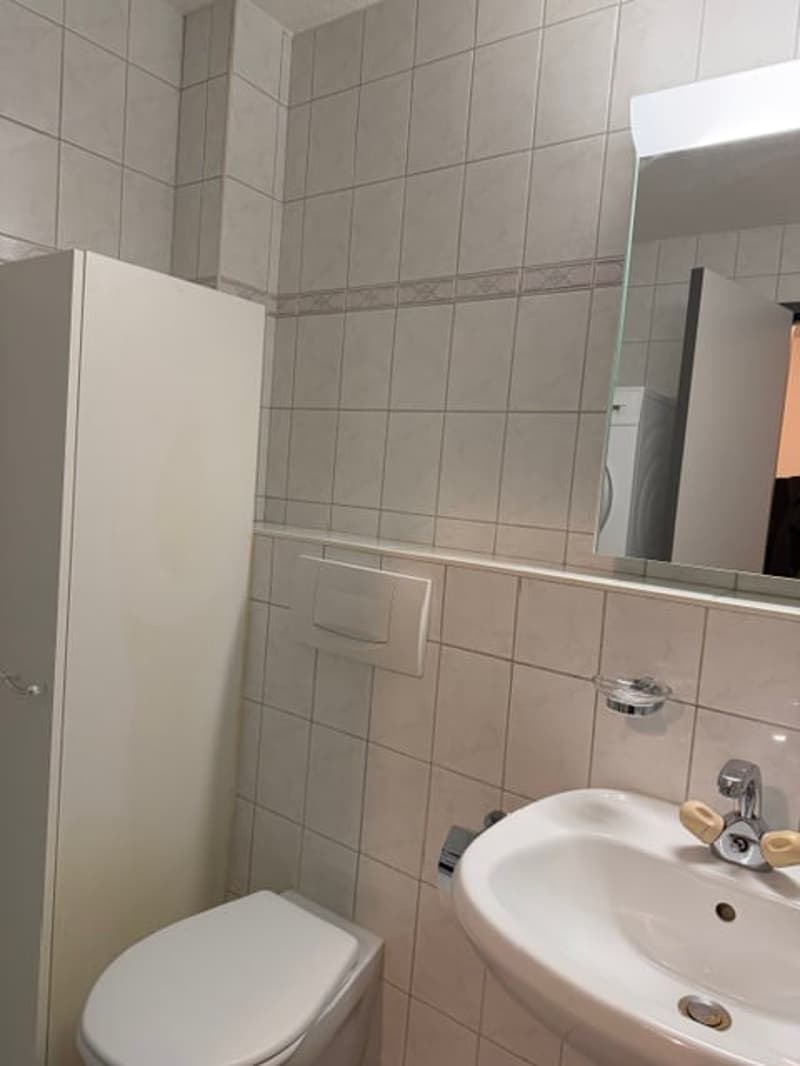 Joli studio en attique à la Neuveville avec belle terrasse (9)