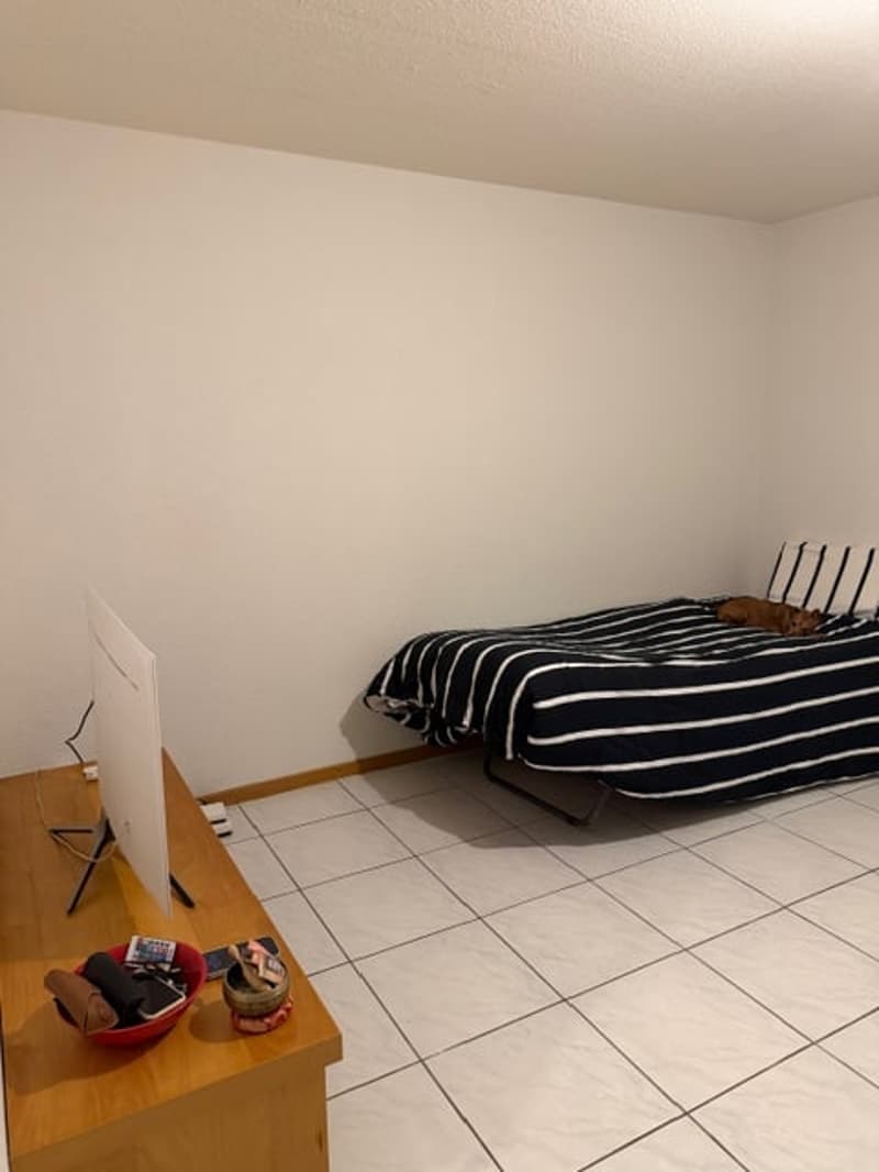 Joli studio en attique à la Neuveville avec belle terrasse (2)
