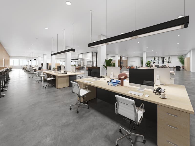 Surface commerciale spacieuse de 1'503m² à Marin – Accessibles et bien desservis (9)