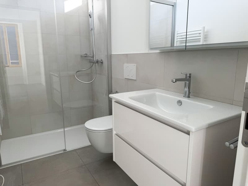 Klar - 2,5 + Garderobe - Erstbezug (Ref. 69-11) (5)